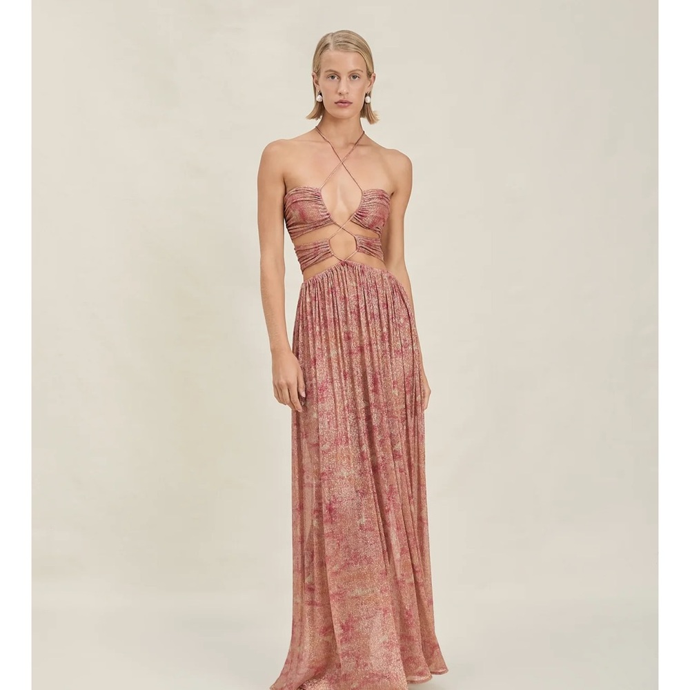 Devon Windsor Frieda Maxi Dress